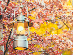 Lamp Shades and Antique Lamp Parts for Winter Restoration Projects